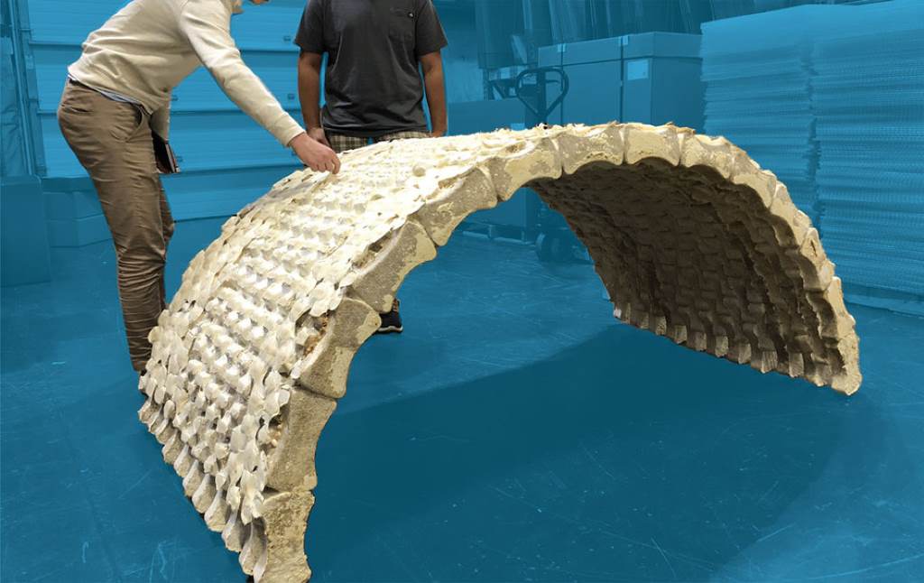 Eco-friendly mycelium composite used in sustainable home construction