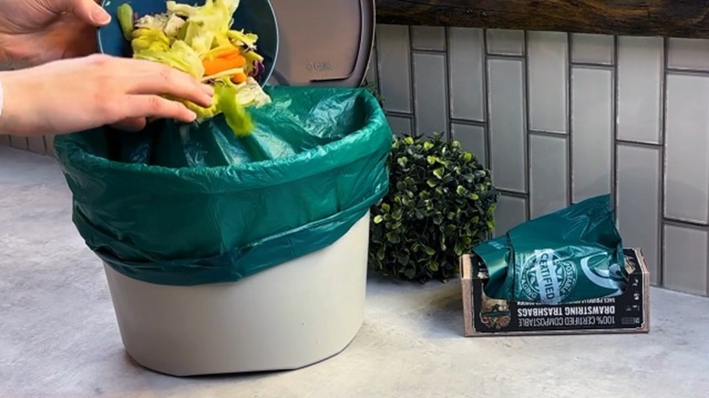 How Long Do Biodegradable Trash Bags Take to Decompose