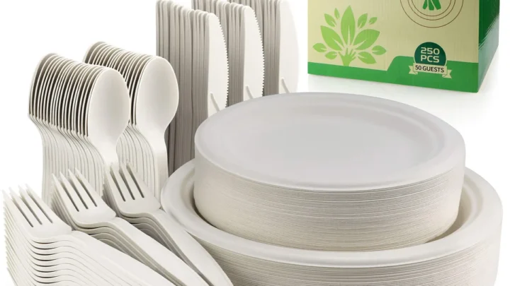 Compostable Plate Disposal: The Right Way
