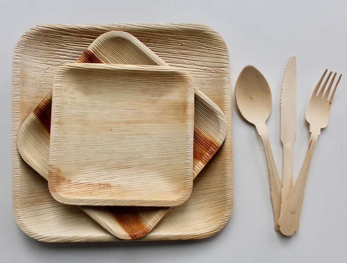 compostable party plates