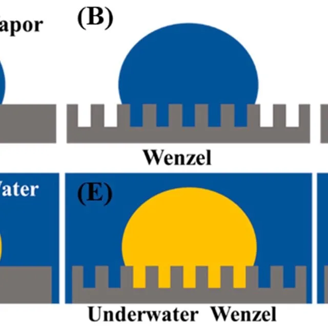 emulsifier function