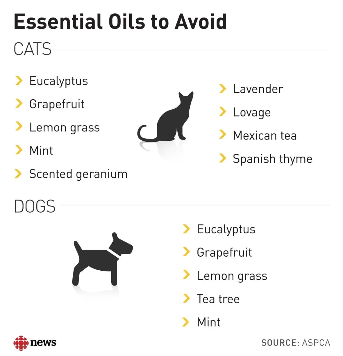 essential oil pet safety