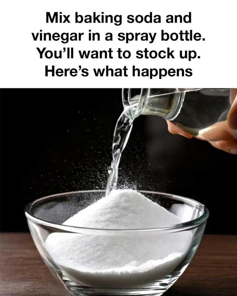 spray bottle types comparison