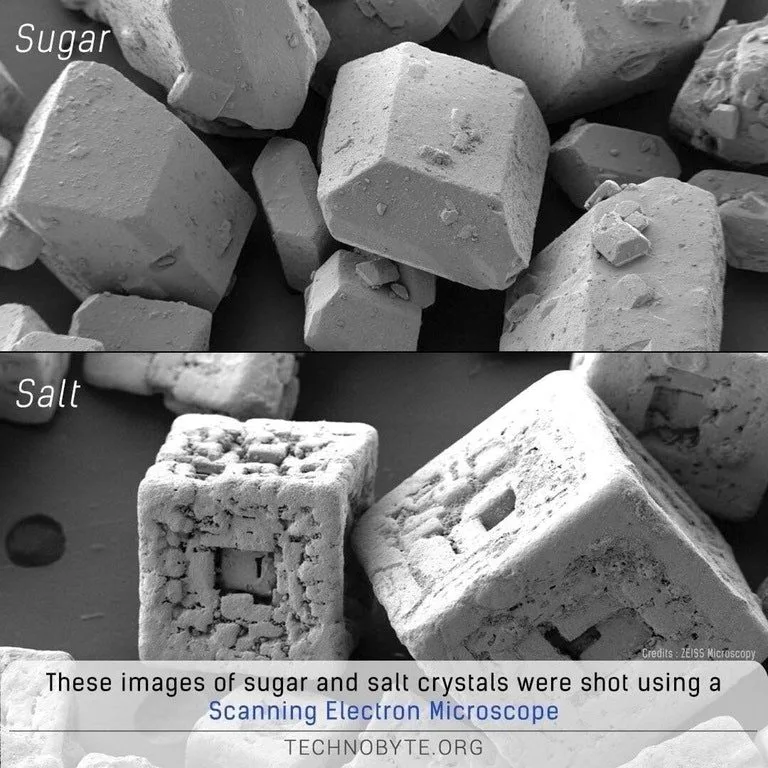 sugar vs salt scrub grains
